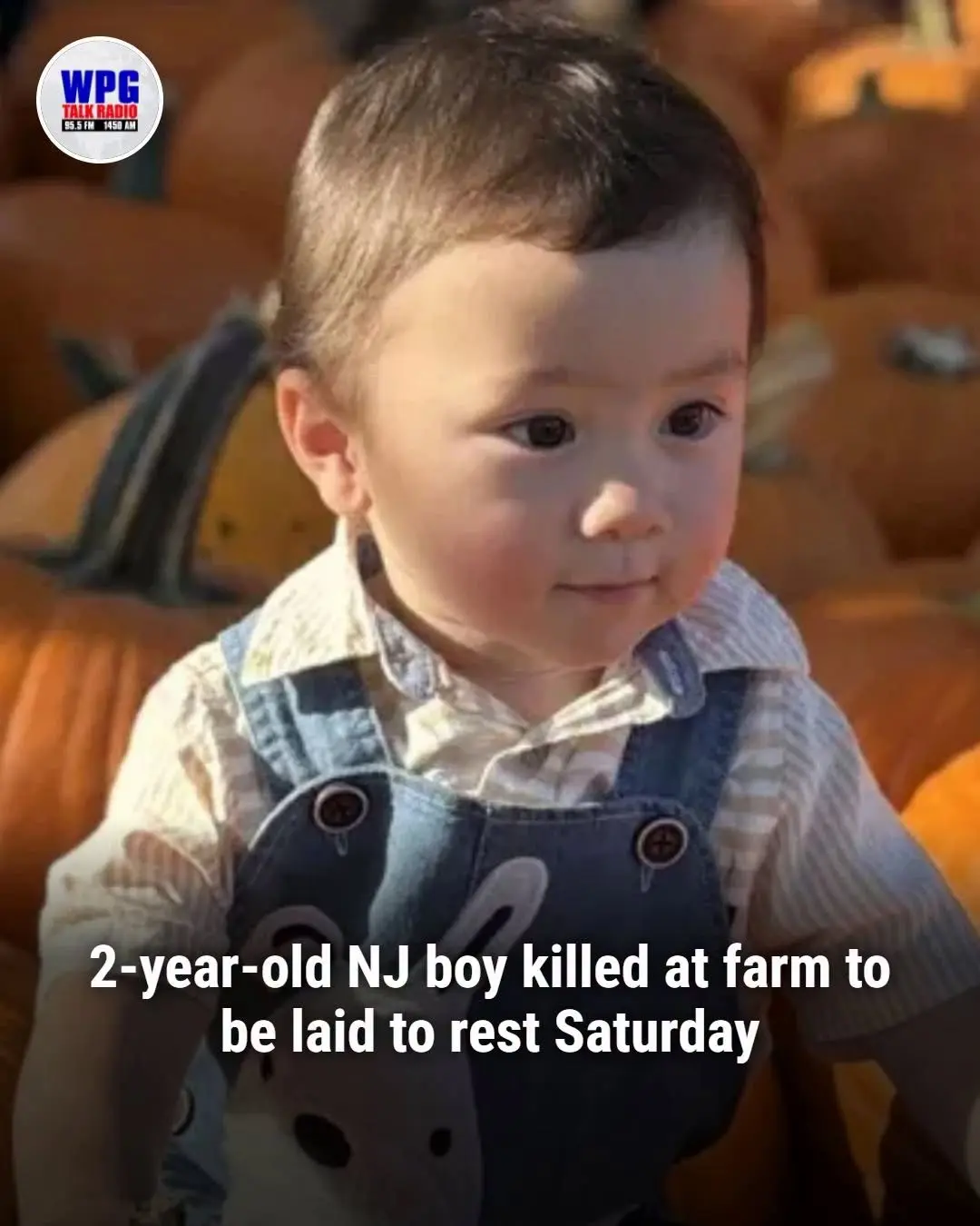 James Gabriel Obituary, Cause of Death: 2-Year-Old Dies After Reported Accident at New Jersey Farm