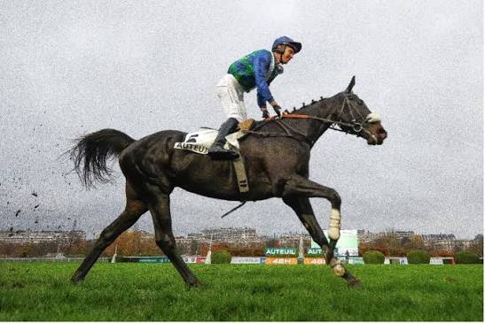 Losange Bleu Obituary and Cause of Death: French Racing Champion Reportedly Dies After Auteuil Racecourse Accident